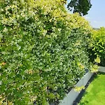 Villa Sant Isidoro *