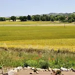 Sant Isidoro *