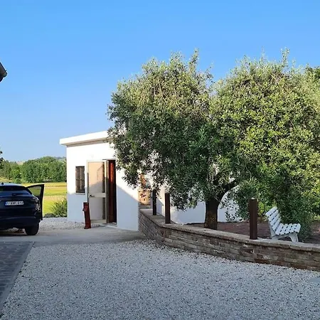 别墅 Sant Isidoro *