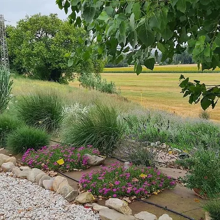 别墅 Sant Isidoro *