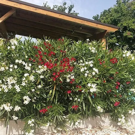 Sant Isidoro 别墅 *