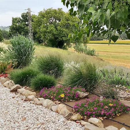 Sant Isidoro 别墅 考里纳多