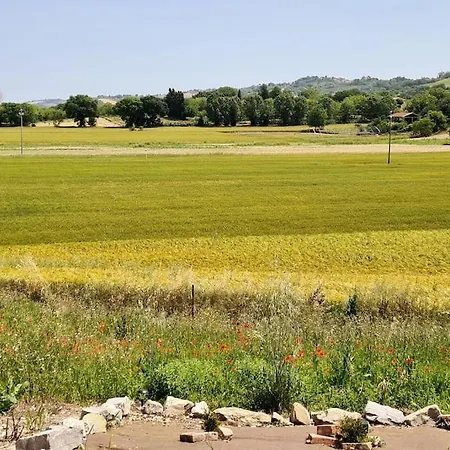 Sant Isidoro *